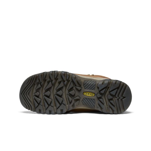 Women's Targhee IV Waterproof Hiking Boot | Bison/Beaujolais