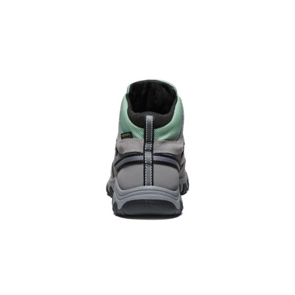 Big Kids' Targhee IV Waterproof Hiking Boot | Alloy/Granite Green