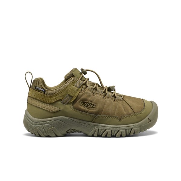 Big Kids' Targhee IV Waterproof Hiking Shoe | Martini Olive