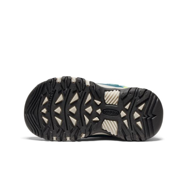 Little Kids' Targhee IV Waterproof Hiking Shoe  |  Reef Waters/Daiquiri Green