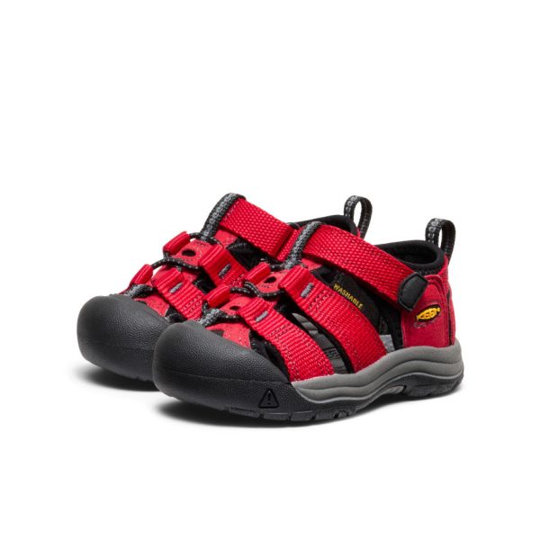 Toddlers' Newport H2  |  Ribbon Red/Gargoyle