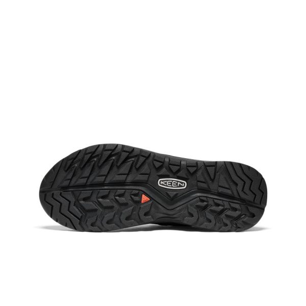 Women's Hightrail EXP Waterproof Shoe | Black/Magnet