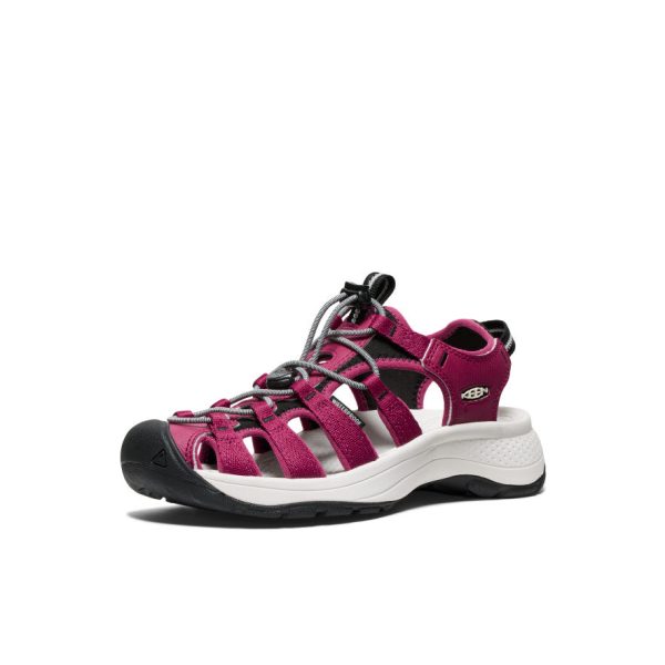 Women's Astoria West Sandal  |  Beaujolais/Star White