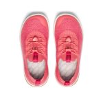 Big Kids' KNX Knit Sneaker | Dubarry/Star White