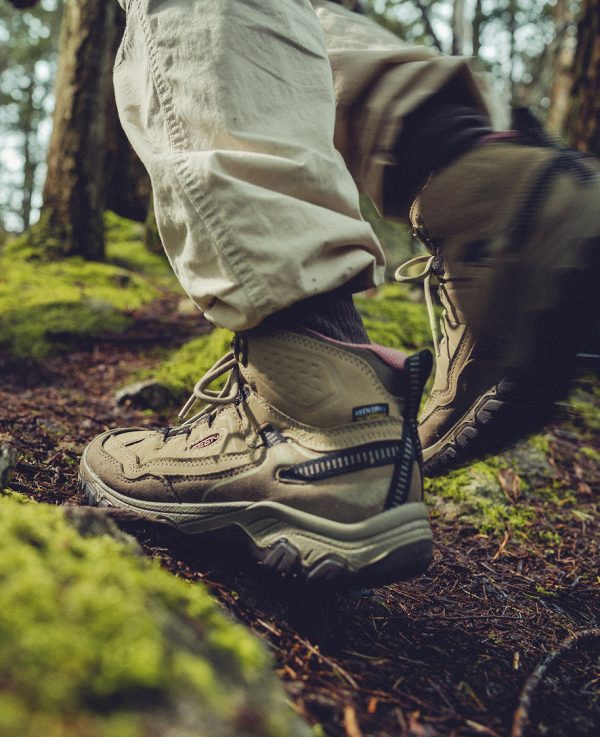 Women's Targhee IV Waterproof Hiking Boot | Brindle/Nostalgia Rose