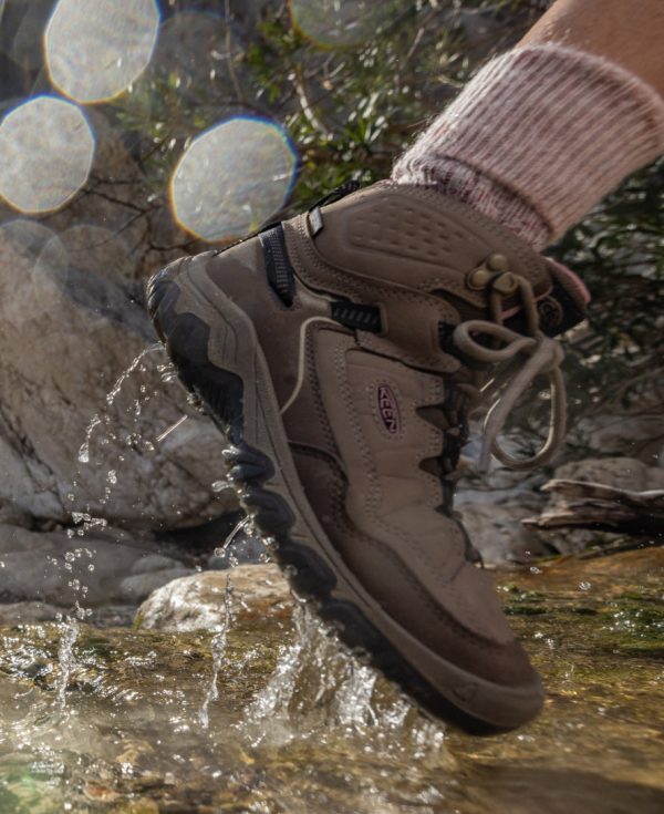 Women's Targhee IV Waterproof Hiking Boot | Bison/Beaujolais