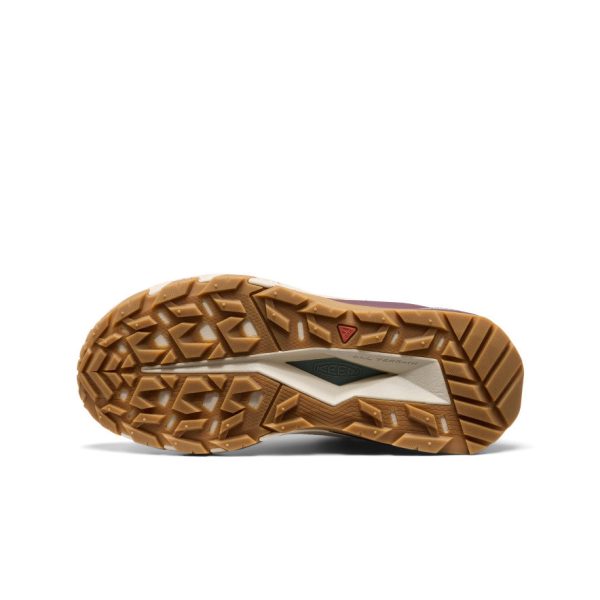 Women's Targhee Apex Waterproof Hiking Boot | Lily Pad/Fig