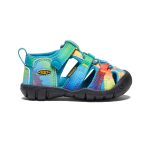Toddlers' Seacamp II CNX | Vivid Blue/Original Tie Dye