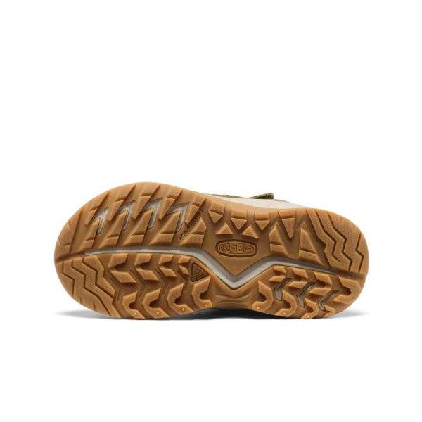 Little Kids' Hightrail Waterproof Hiking Boot | Dark Olive/Martini Olive