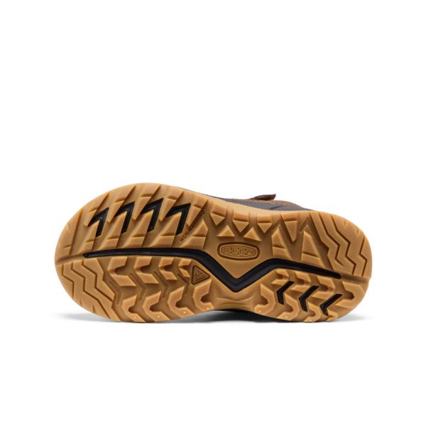 Little Kids' Hightrail Waterproof Hiking Boot | Dark Earth/Garnet