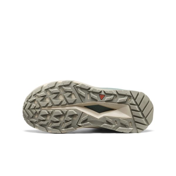 Women's Targhee Apex Waterproof Hiking Boot | Abbey Stone/Birch