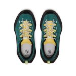 Big Kid's Jasper Zionic Sneaker | Mediterranea/Cabbage