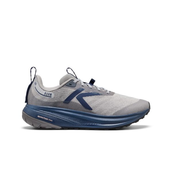 Men's Roam Trail Running Shoe | Alloy/Naval Academy